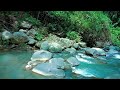Peaceful River Flowing Sound Gentle River, Relaxing Nature Sounds deep sleep healing