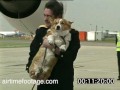 Queen with corgis at Heathrow - timecoded rushes