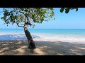 Turquoise Tranquility 🌊 Crushing Waves and Rolling Sand on Lonely White Sand Beach 🌴 ASMR in 4K