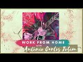 Work From Home With Antônio Carlos Jobim - Jazz Mix