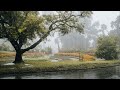 The sound of rain for mental and physical stability and healing (ASMR, white noise, 8 hours)