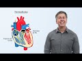 Cardiac Mechanics (preload, afterload, contractility, ejection fraction, and cardiac output)