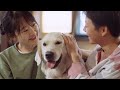 From Dog DNA to Human Diseases | HHMI BioInteractive Video