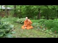 Ask A Monk: Importance of Dreams