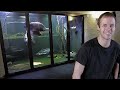 15 UNUSUAL Home Aquariums and Fish Tanks