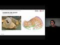 Interfaces between sustainability, structural design and AI | Diego Apellániz | MPDA 2023