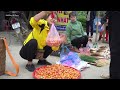 Harvest Sour Berries Fruit ( Bastard Oleaster ) Goes To Market Sell - Harvest Duck Eggs