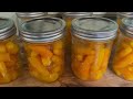 A Sunday Canning Day #selfsufficient #carrots #gardening #delicious #pressurecanning #pantry