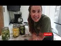 Simple Quick Pickle Recipe