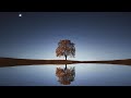 Study Relax Meditation - peaceful soothing relaxing music, stress relief💚🧡Calming Piano🎹