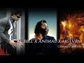 Unbelievable Sound: Billa x Animal x Mangalavrm HD BGM Mix