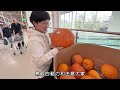 【致忙碌的香港人】10分鐘極速開飯｜科學原理｜慳錢慳時間｜南瓜蒸排骨｜嫩豆腐滾湯｜薑汁撞奶｜秋冬甜品｜菇要洗嗎？｜南瓜點樣揀？｜點煮奶白色滾湯？｜薑撞奶點先凝固？｜一人前｜家的味道｜廚職背遊梁芷靈