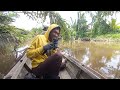 Fishing for giant prawns on excise island‼️ prawns wooow 💯% inhabited island 😱JORAN GREEN