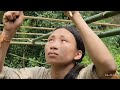 Triệu Thị Long | Single mother with no support - selling summer - digging cassava to eat