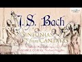 J.S. Bach: Sinfonias from Cantatas