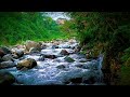 Relaxing river with soothing sounds, Riverdale flowing, relaxing sounds