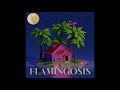 Flamingosis - Mood Provider Vol. 5 (Full Mixtape)