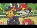 Skye, Chase, Rubble, Marshall and Everest - puzzles for children PAW Patrol | Merry Nika