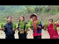 Naga Style Planting Baddy field | HBC Youth Department  | 4 May 2024