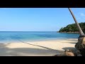 Island Serenity 🌴Calm Waves and Birdsong on Koh Phangan's Lonely Shore 🌴 ASMR 🐦 Screensaver [4K]