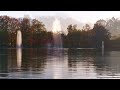 Autumn Videowalk with FUJIFILM X-S10