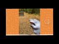 Perfectly cut Shark puppet scream