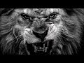 Lion Roar | Epic Music .