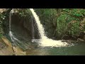 Soothing Relaxing Music - Bird Sounds, Water Sound, Stress Relief, Sleep, Meditation