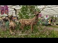 Chelsea Flower Show 2023: Ten Inspirational Ideas for Gorgeous Garden Flowers and Stylish Design