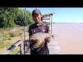 PESCA DE BOGAS Y COCINA EN EL PARANA ! ISLA CAZADORES, ZARATE