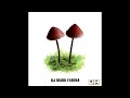 Mark Farina - Mushroom Jazz 2