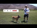 Train ANY Dog to Play Fetch Perfectly - Dog Training Video by Robert Cabral