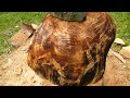 Chainsaw carving Mushroom done!