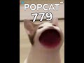POPCAT POPING CAT 1,000+ TIMES 🔥🔥 | mayroro 🍓🍰 #Thailand #HOTGAME