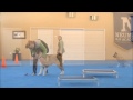 Captain (Akita) Dog Training Demonstrational Video