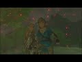 Zelda CONFIRMED her and Links love