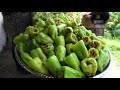 Harvesting and Pickling Stuffed Bell Peppers from our Garden