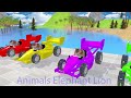 Paint & Animals Mammoth,Gorilla,Lion,Duck,Cow,Panda Fountain Crossing Transformation Animal Cartoon