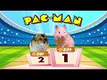 Hamster Pac-Man Pyramid Maze | Cardboard obstacle course