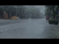 Soothing Relaxing Rain Sounds For Stress Relief   Peaceful In Foggy Forest, Rain Sound Natural