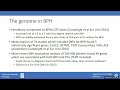 The State of Benign Prostate Hyperplasia: Leading Theories and Challenges...