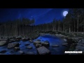 Bubbling Stream At Night Water Sounds White Noise | Crickets & Nature | Sleep, Study