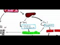 Metabolismo de los fármacos de paso 1 y paso 2
