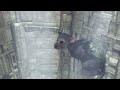 The Last Guardian - Trico VS Evil Trico (Guardian Boss Fight)