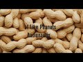 I Like Peanuts Extended Version ㅡ Audionautix ㅡ No Copyright Music