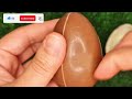 Yummy Sweets Chocolate Unpacking ASMR