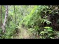 Full Maunawili Trail from the Pali Highway to Waimanalo in 4K