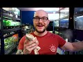 The BEST and WORST Reptile Enclosure Brands! My Uncensored Honest Opinion!