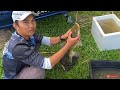 Seharian Mancing Baung Monster Hampir 14KG Kesemua Baung yang DAPAT ! || RIVER CATFISH HUNTER