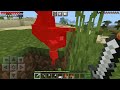 My Craft Ep6 Getting Chickens